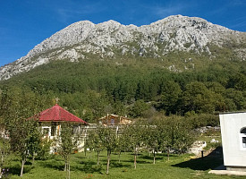 Праздник в монастыре Преподобного Сергия Радонежского на горе Румия