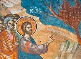 Троицкие листки, № 613. Бесплодная смоковница. Воспоминания Великого Понедельника