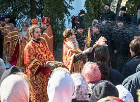 Радость вечной жизни