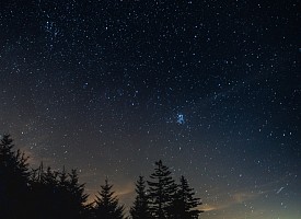 Одежда духовная. Митрополит Николай (Ярушевич)