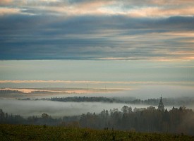 К жизнеописанию лаврского старца схиигумена Дамаскина (Красных). Воспоминания келейника