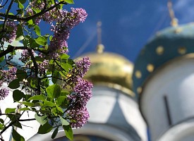 Записки из келии схиархимандрита Никона (Деева)